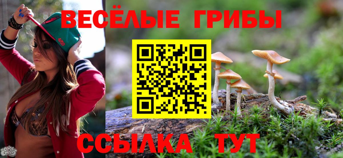ТГК Звенигород